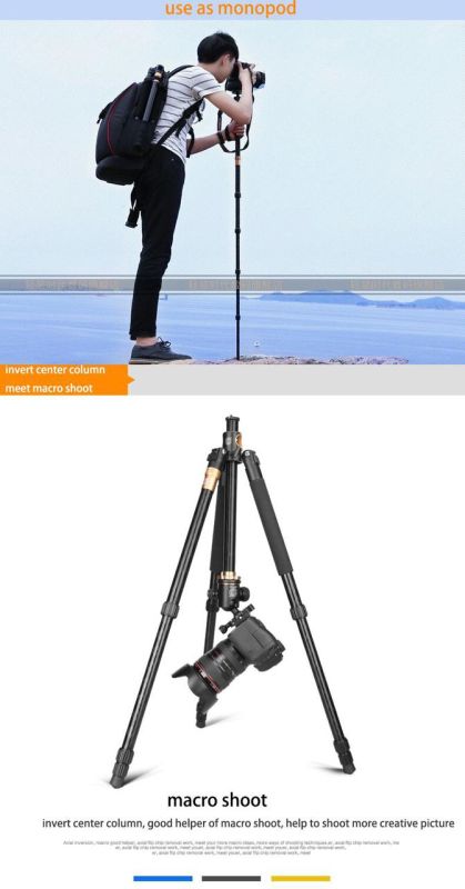 Штатив + монопод фірми QZSD для фотоапаратів - Q-999H (Q999H) + головка QZSD-02
