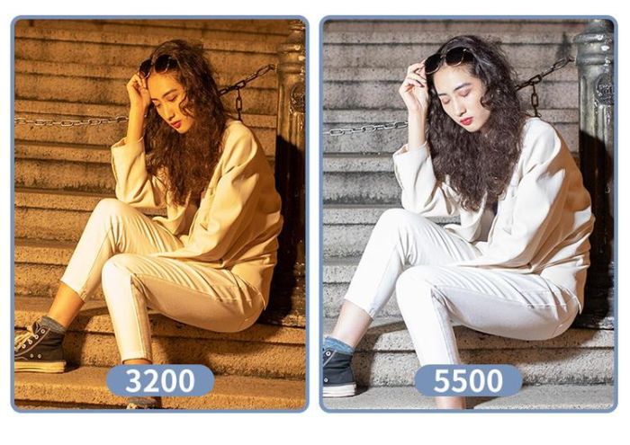 LED - освітлювач, відеосвітло Teyeleec TL520 (3200-5600 K)